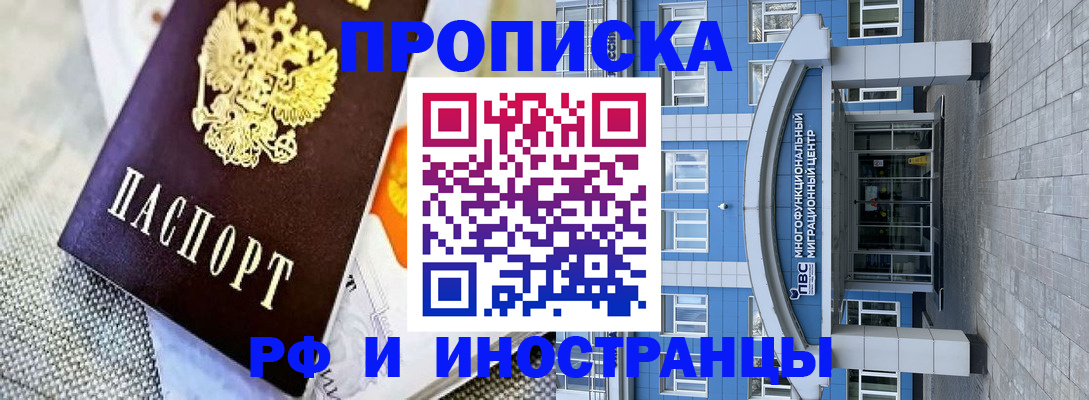 прописка законно в Светлогорске