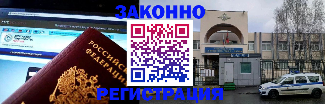 временная регистрация поиск в Светлогорске